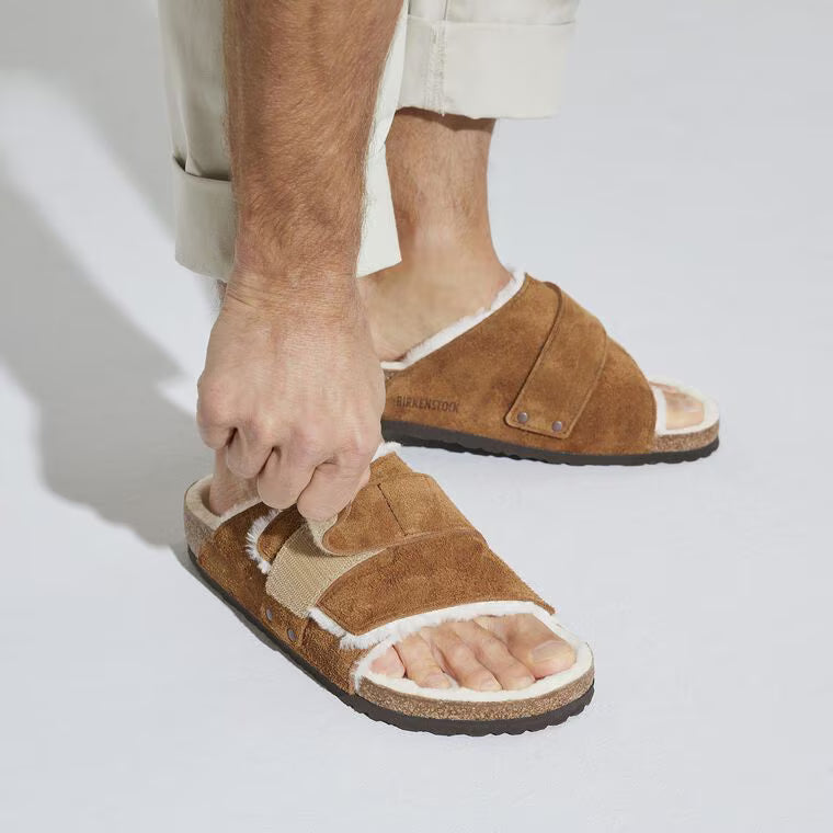 Birk Kyotos