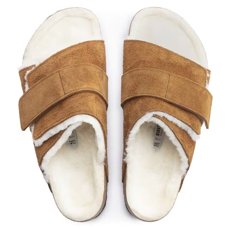 Birk Kyotos